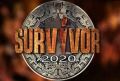 Survivor20a.jpg